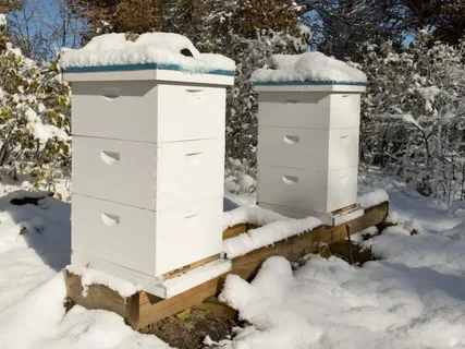 Bee Hive Wraps For The Winter For Sale